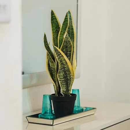 V86 Belmonte Near The Sea Apartament *