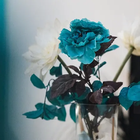 V86 Belmonte Near The Sea Слима