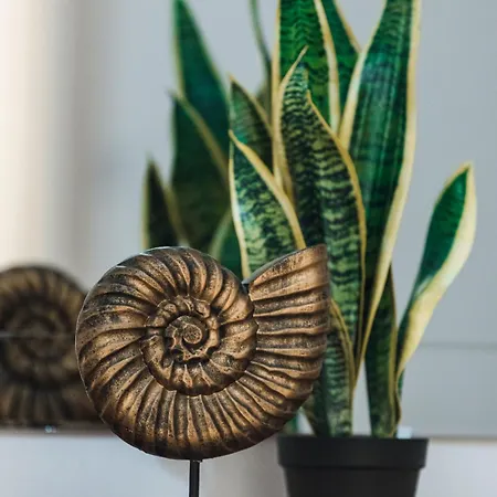 V86 Belmonte Near The Sea Апартаменты