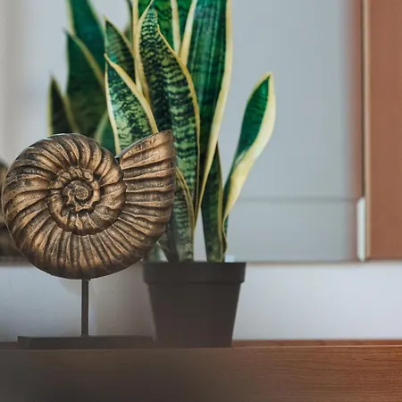 V86 Belmonte Near The Sea Lejlighed